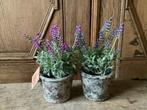 NIEUW set van 2 lavendel kunstplantjes kunstbloemen, Ophalen of Verzenden, Nieuw