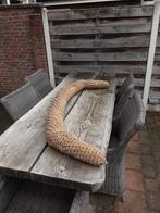 Kopleguaan, Watersport en Boten, Ophalen, Gebruikt, Overige typen