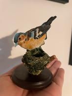 The Chaffinch beeldje, Ophalen of Verzenden