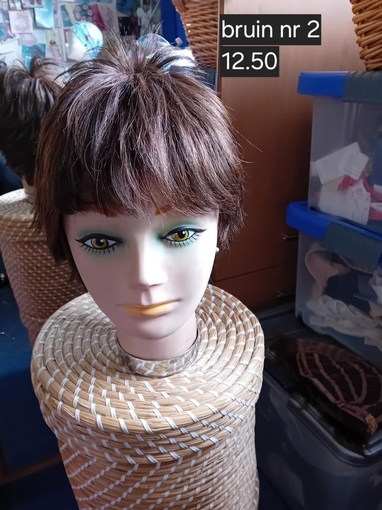 Pruik voor Toneel of Feestje, Ophalen of Verzenden, Pruik of Haarverlenging