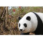 Panda beer Walking – Panda beeld Lengte 172 cm, Verzamelen, Dierenverzamelingen, Nieuw, Ophalen