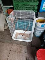 Grote kooi, Dieren en Toebehoren, Vogels | Hokken en Kooien, Ophalen, Zo goed als nieuw, Metaal, Vogelkooi