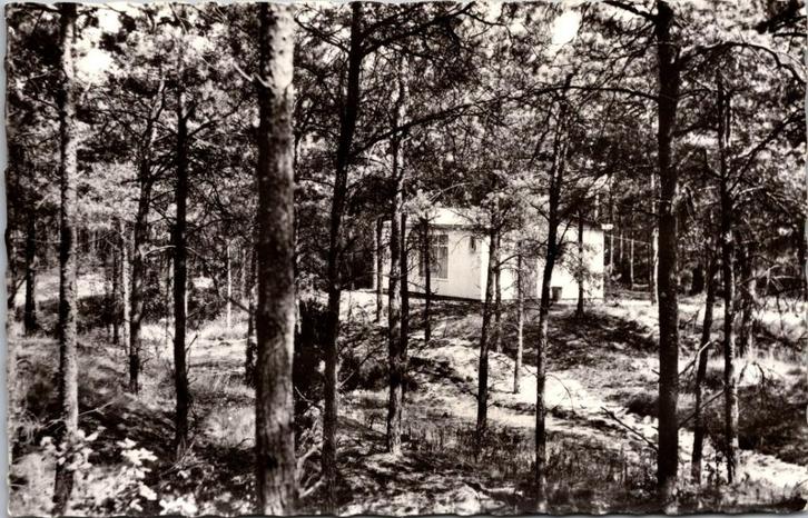 Overloon - Bungalowpark De Vers (1967), Verzamelen, Ansichtkaarten | Nederland, Gelopen, Noord-Brabant, 1960 tot 1980, Verzenden