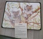 6 placemats van Dynasty in doos, dieren uit Australië, Ophalen of Verzenden, Nieuw