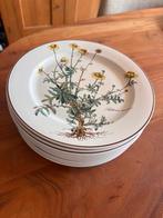 10x dinerbord Villeroy & Boch Botanica (gebruikt), Huis en Inrichting, Keuken | Servies, Gebruikt, Ophalen of Verzenden, Bord(en)