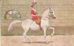 AMAZONE EN PAARD, Verzenden, Voor 1920, Gelopen, Overige thema's