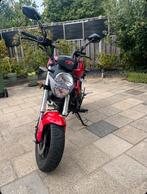 Romet pony 50cc (honda grom 50cc), Ophalen, Nieuw, Blok, Overige merken