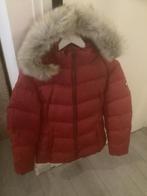 Nieuwe winterjas van Tommy Hilfiger, Kleding | Dames, Jassen | Winter, Tommy Hilfiger, Ophalen of Verzenden, Nieuw, Blauw