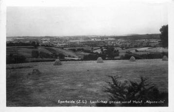 (377-433-029) Eperheide beschikbaar voor biedingen
