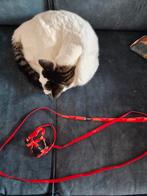 Rogz Kattentuigje maat S/M, nieuw., Dieren en Toebehoren, Ophalen of Verzenden, Nieuw