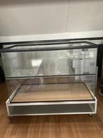 Hamster/Gerbil terrarium 80x40x60, Dieren en Toebehoren, Ophalen, Hok, Hamster, Minder dan 60 cm