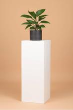 Maatwerk Sokkels & Zuilen - Stijlvol Presenteren, Ophalen, Nieuw