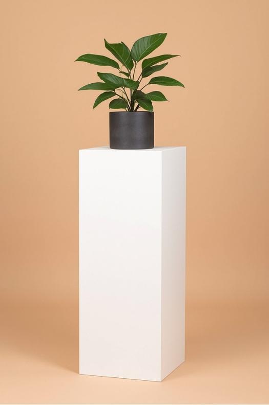 Maatwerk Sokkels & Zuilen - Stijlvol Presenteren, Huis en Inrichting, Woonaccessoires | Zuilen en Pilaren, Nieuw, Ophalen