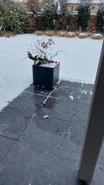 Plantenbak, Ophalen, Kunststof, Gebruikt, Minder dan 60 cm