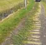 eendenkorven, Dieren en Toebehoren, Vogels | Toebehoren, Ophalen of Verzenden, Nieuw