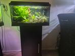 Juwel 60 liter aquarium, Dieren en Toebehoren, Vissen | Aquaria en Toebehoren, Ophalen, Gebruikt, Gevuld zoetwateraquarium