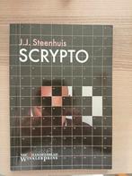 Scrypto - Jelmer Steenhuis puzzelboek, Boeken, Ophalen of Verzenden, Zo goed als nieuw, Jelmer Steenhuis