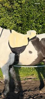 Barebackpad maat full, Ophalen of Verzenden, Zo goed als nieuw, Overige soorten