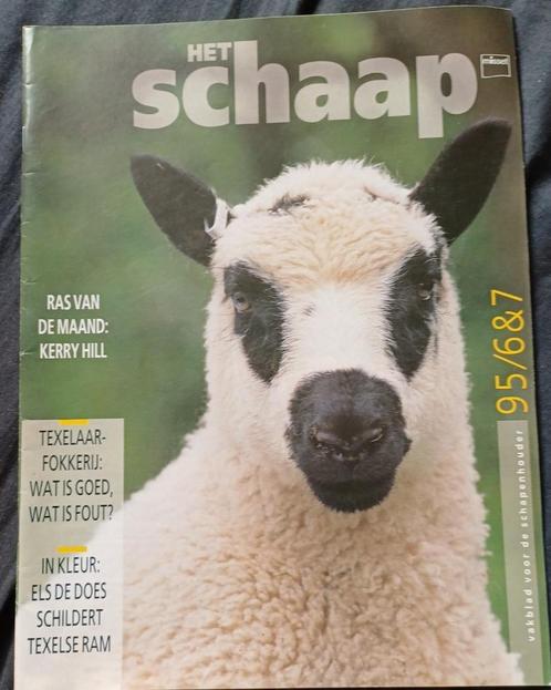 Maandblad het Schaap meer dan 19 jaargangen, Verzamelen, Tijdschriften, Kranten en Knipsels, Tijdschrift, Nederland, 1980 tot heden
