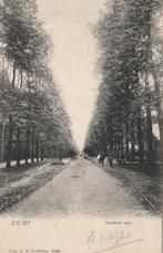 Zeist - 494 - twa : Donkere Laan nu Slotlaan, Verzenden, Voor 1920, Utrecht