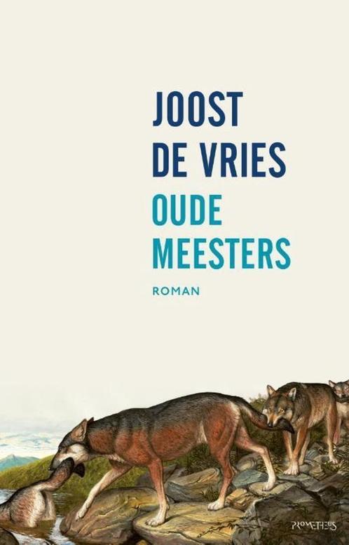 Joost de vries - Oude meesters, Boeken, Romans, Zo goed als nieuw, Nederland, Ophalen of Verzenden