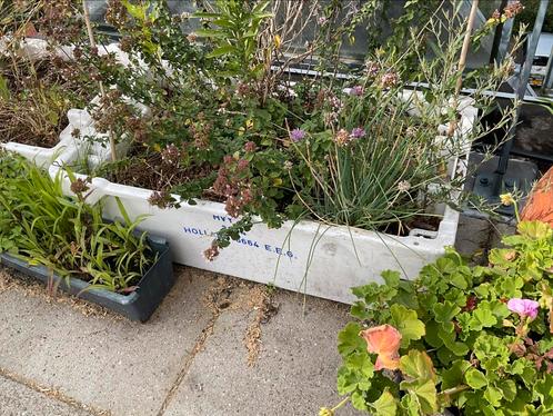 Gezocht 10 visafslag visbakken viskratten vis krat, Doe-het-zelf en Verbouw, Kratten en Dozen, Zo goed als nieuw, Krat, Minder dan 35 cm