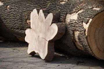 Boomschijven, boomstamschijven, boomsokkels, houtschijven beschikbaar voor biedingen