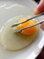 Chalaza tang eiertangetje, Verzenden, Nieuw