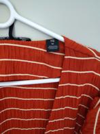Scotch en soda, Ophalen of Verzenden, Zo goed als nieuw, Maat 36 (S), Boven de knie