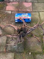 Aquarium hout, Ophalen of Verzenden, Plant(en), Steen of Hout