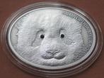 Fascinating Wildlife Panda Fiji 2013 Zilver Proof Zeldzaam, Verzenden, Losse munt, Zilver