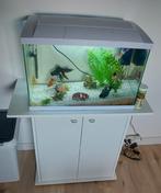 Compleet aquarium 60 liter met meubel, Ophalen, Zo goed als nieuw