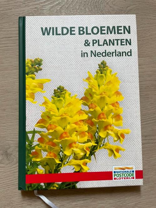 Wilde bloemen & planten in Nederland, incl. Veldgids - NIEUW, Boeken, Natuur, Nieuw, Bloemen, Planten en Bomen, Ophalen of Verzenden