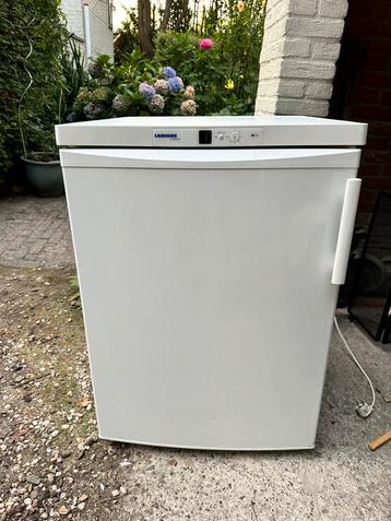 Koelkast Liebherr beschikbaar voor biedingen