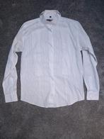 Wedstrijd bloude Harry's Horse maat 36, Ophalen of Verzenden, Gebruikt, Dressuur