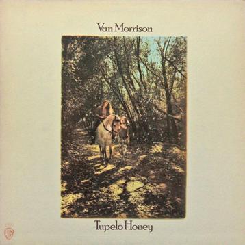 Van Morrison LP CD DVD 's - hoeft niet in 1 koop beschikbaar voor biedingen