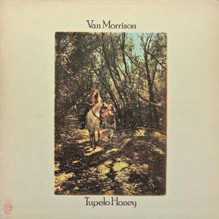 Van Morrison LP CD DVD 's - hoeft niet in 1 koop, Cd's en Dvd's, Vinyl | Rock, Zo goed als nieuw, Poprock, Overige formaten, Ophalen