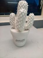 Riviera Maison cactus beeldje, Huis en Inrichting, Woonaccessoires | Vazen, Minder dan 50 cm, Ophalen of Verzenden, Zo goed als nieuw