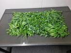 Decoratieve plantenwand, Ophalen of Verzenden, Nieuw
