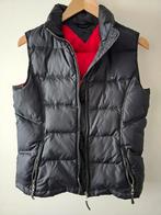 Tommy hilfiger bodywarmer maat m, Kleding | Dames, Bodywarmers, Ophalen of Verzenden, Zo goed als nieuw