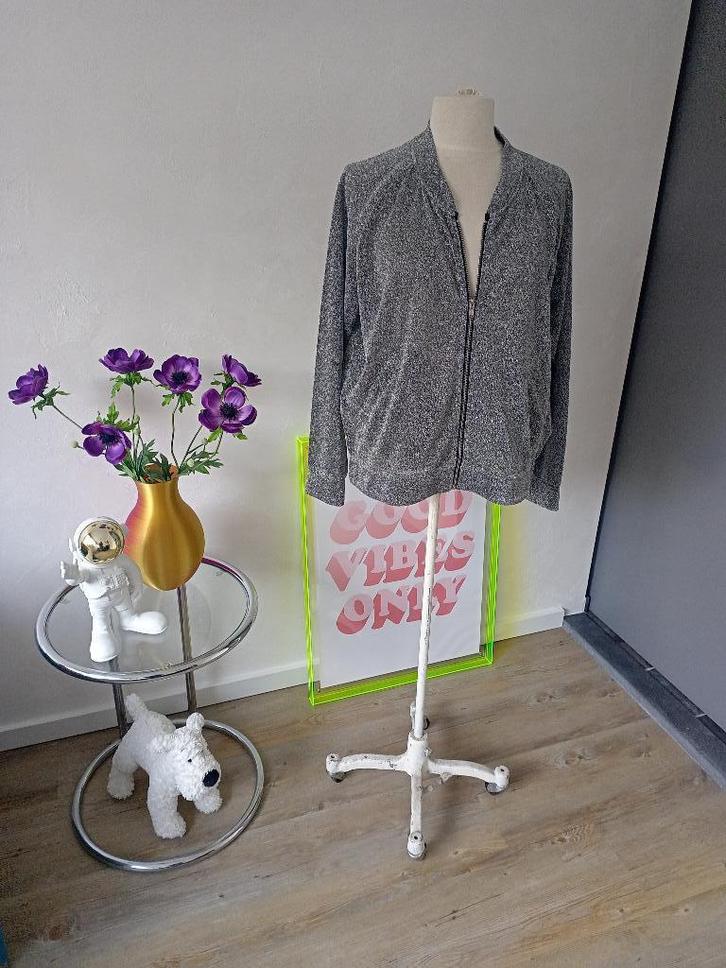 Super gaaf zilveren glitterjasje maat L, zgan, Kleding | Dames, Jasjes, Kostuums en Pakken, Zo goed als nieuw, Jasje, Maat 42/44 (L)
