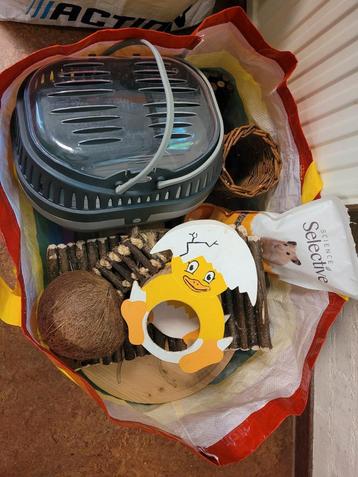 Verrassingstas voor goudhamster - syrische hamster beschikbaar voor biedingen