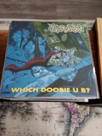 Hip Hop LP'S deel 8, Ophalen of Verzenden, 2000 tot heden, Zo goed als nieuw