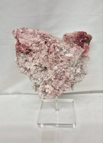 Roze Haliet  beschikbaar voor biedingen