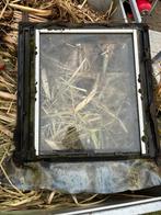 Dakraam, Ophalen of Verzenden