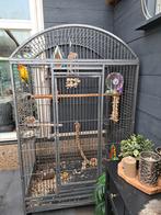 Zonneparkiet, Ophalen, Zo goed als nieuw, Metaal, Vogelkooi