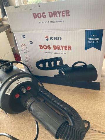 Waterblazer hond beschikbaar voor biedingen