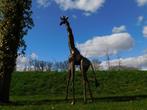 Giraffe Malaika - 290 cm - Handgemaakt, Tuin en Terras, Tuinbeelden, Ophalen of Verzenden, Nieuw, Metaal, Engelenbeeld