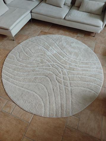 Rond Vloerkleed – 200 cm Radius – Excellent Condition beschikbaar voor biedingen