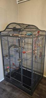 Vogel kooi, Ophalen, Gebruikt, Metaal, Vogelkooi